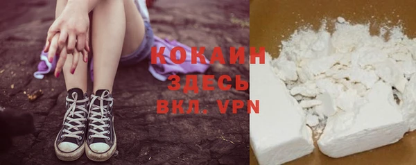 хмурый Алзамай