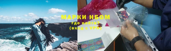 хмурый Алзамай