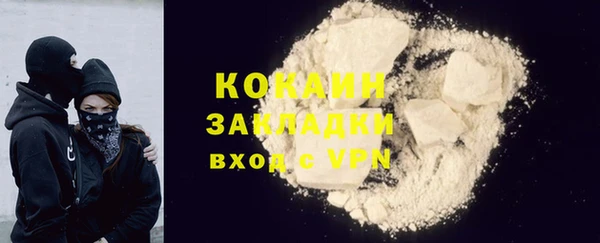 хмурый Алзамай