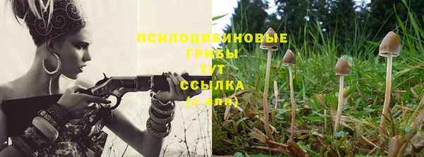 хмурый Алзамай