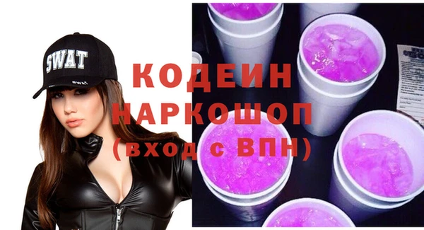 хмурый Алзамай