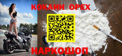 шишки Долгопрудный