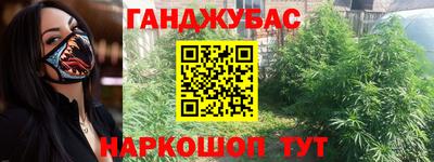 шишки Долгопрудный