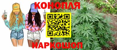 шишки Долгопрудный
