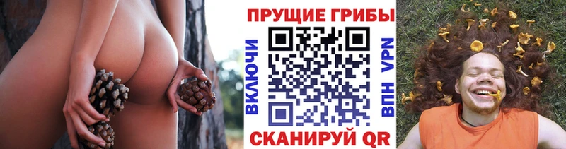 продажа наркотиков  Копейск  Галлюциногенные грибы мицелий 