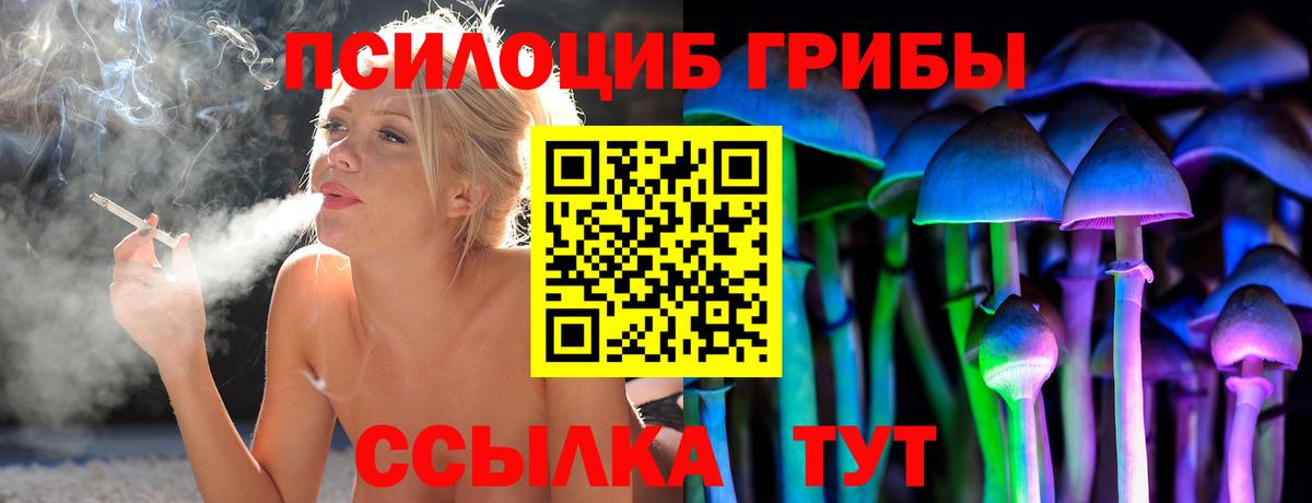 Псилоцибиновые грибы Psilocybe  Вход с VPN  Копейск 